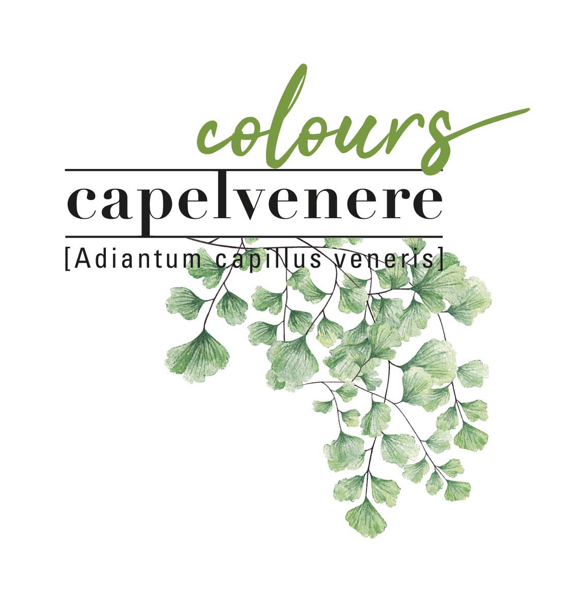 Helan, Capelvenere Colours, Tinta per Capelli Naturale Permanente Formula Dolce 4.6N Castano Rosso, Colore Capelli Kit Facile Uso Inodore Ottima Copertura Tinta Capelli senza Ammoniaca e Alcool - Naturopatica shop & therapy