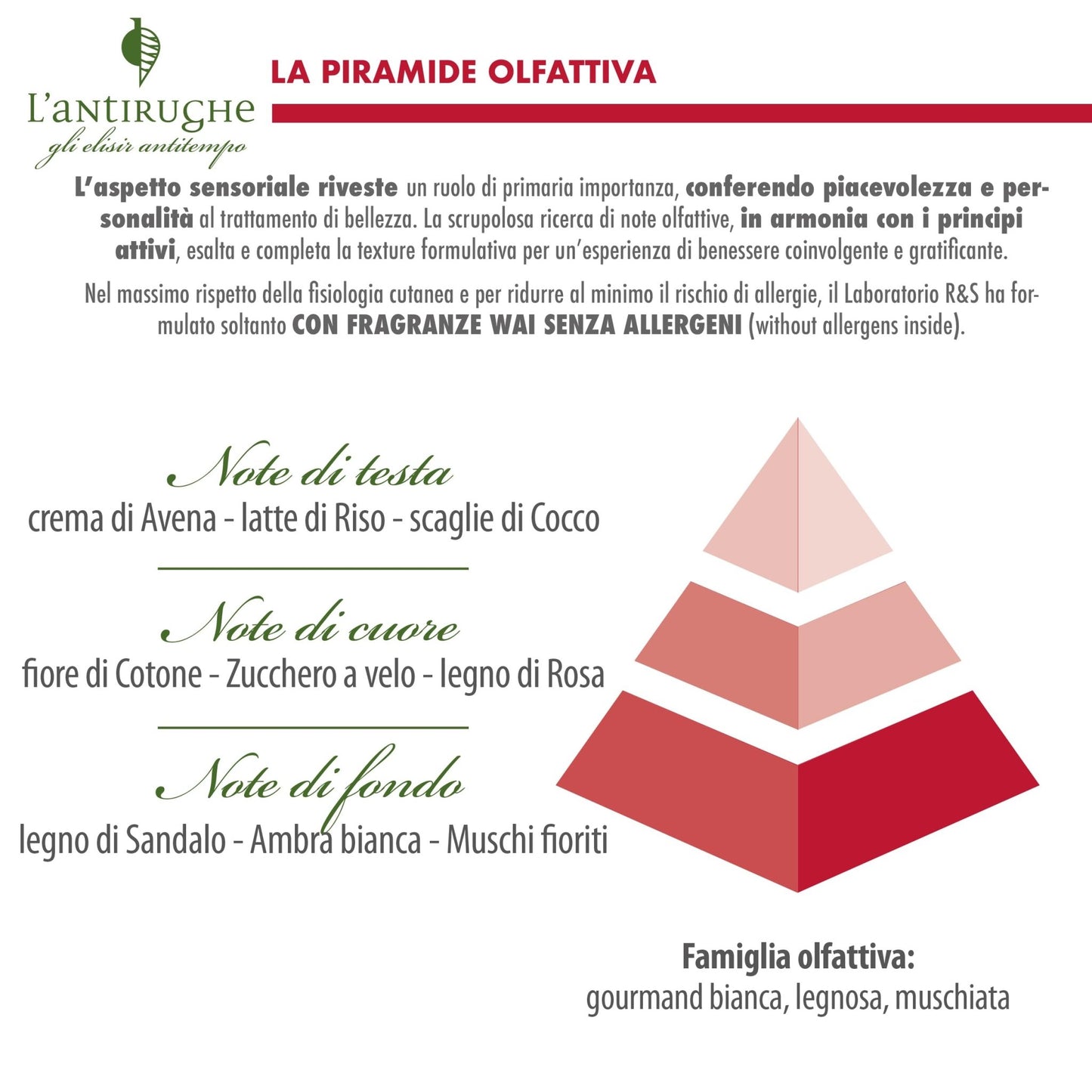 Helan L'Antirughe - Crema Viso Antirughe Skincare Antiossidante Rassodante Vitamina C e E, Crema Idratante Viso Antiage Texture Nutriente con Burro di Karitè e Oliva, Skin Care Stimola Collagene 50 ml - Naturopatica shop & therapy
