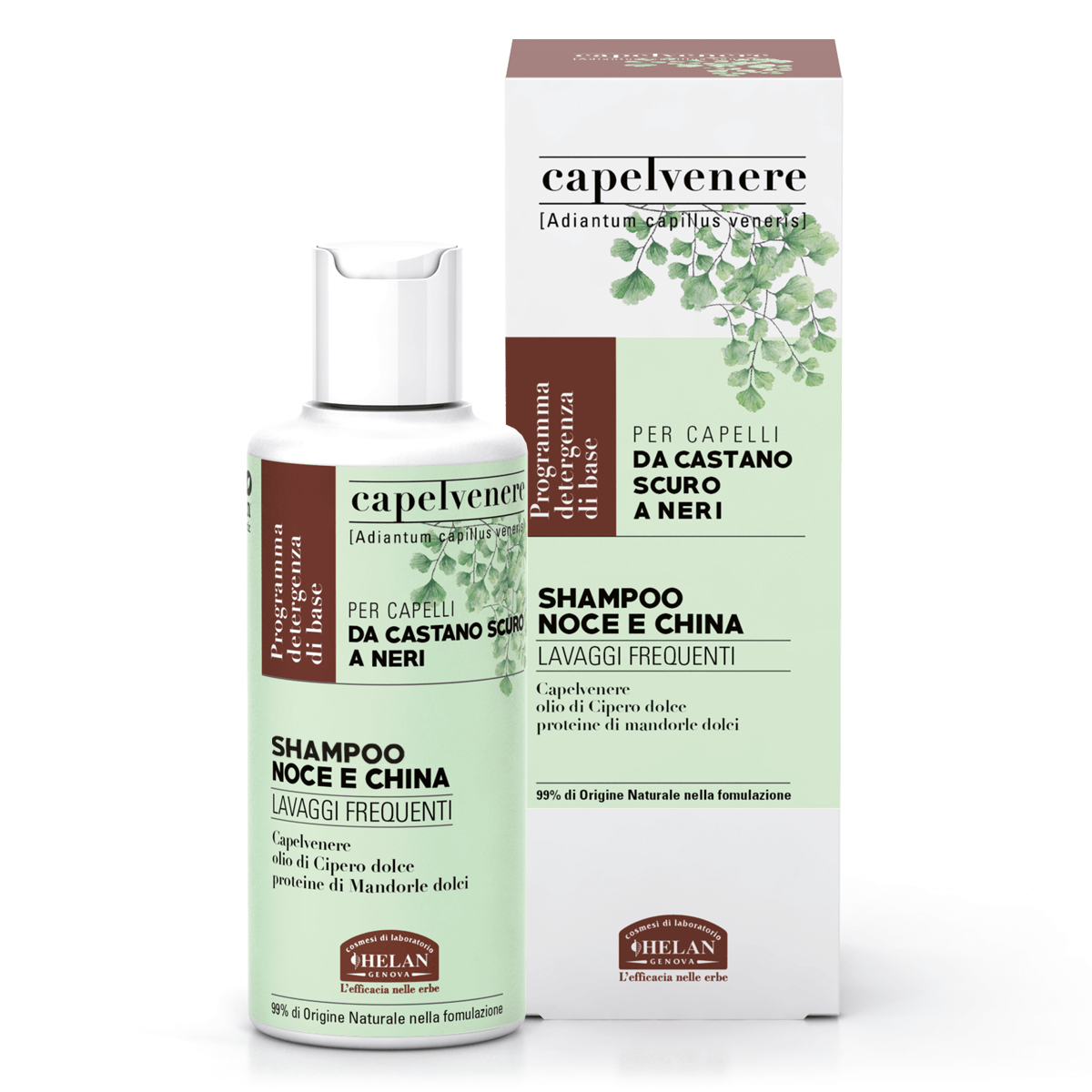 Helan - CAPELVENERE Bioshampoo Noce E China 200mL - Naturopatica shop & therapy