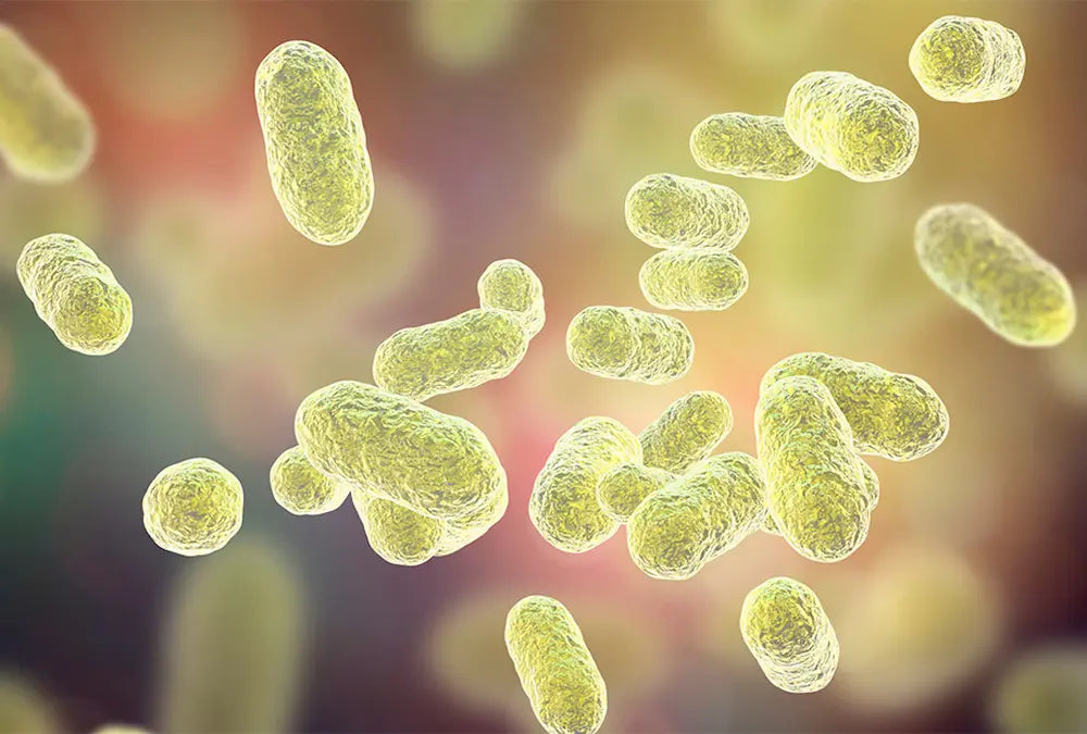 Proteggere il microbiota orale in ogni fase della vita: un gesto di salute sistemica