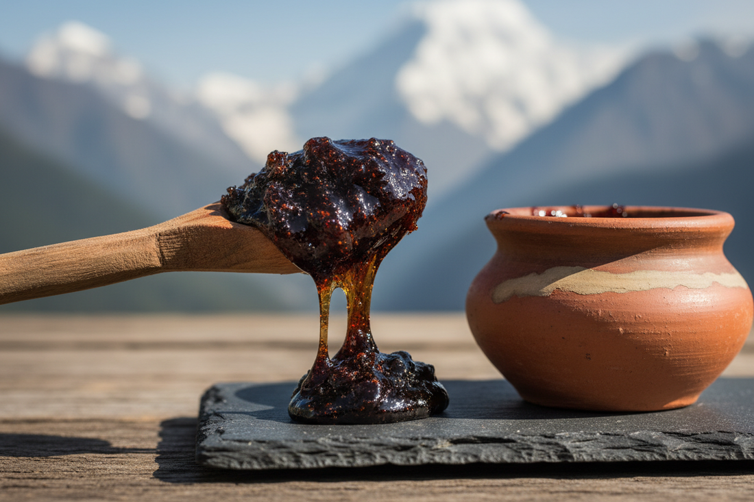 Dalla medicina ayurvedica: shilajit