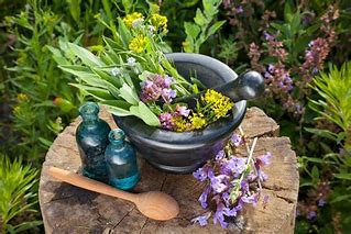 Pomate e altri rimedi - Naturopatica shop & therapy 