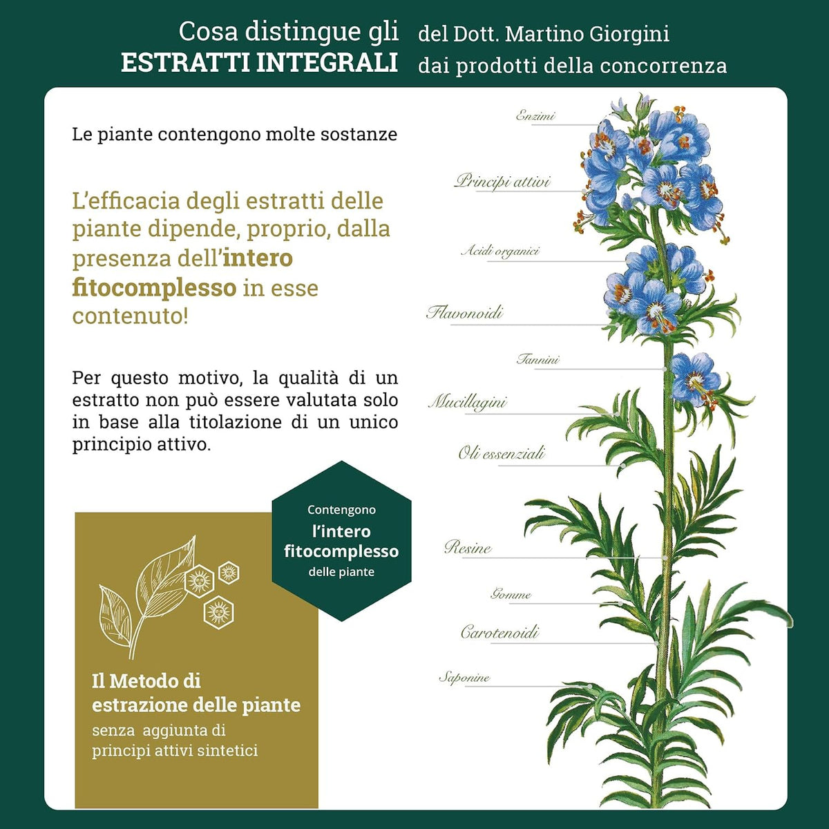 Dr. Giorgini ERISIMO Estratto Integrale Liquido Analcoolico - 200 ml