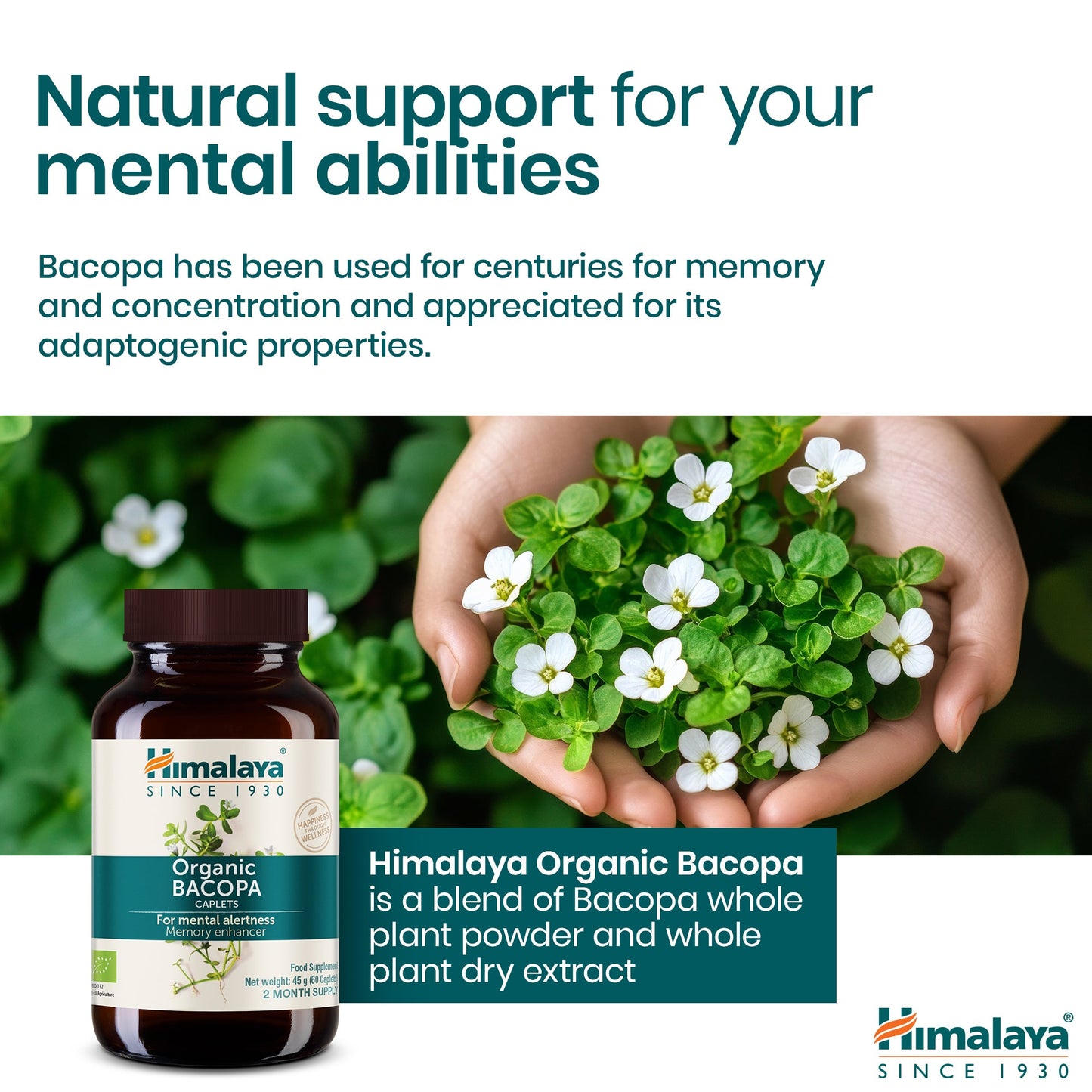 Himalaya Bacopa Biologica (Brahmi) – Memoria e Concentrazione