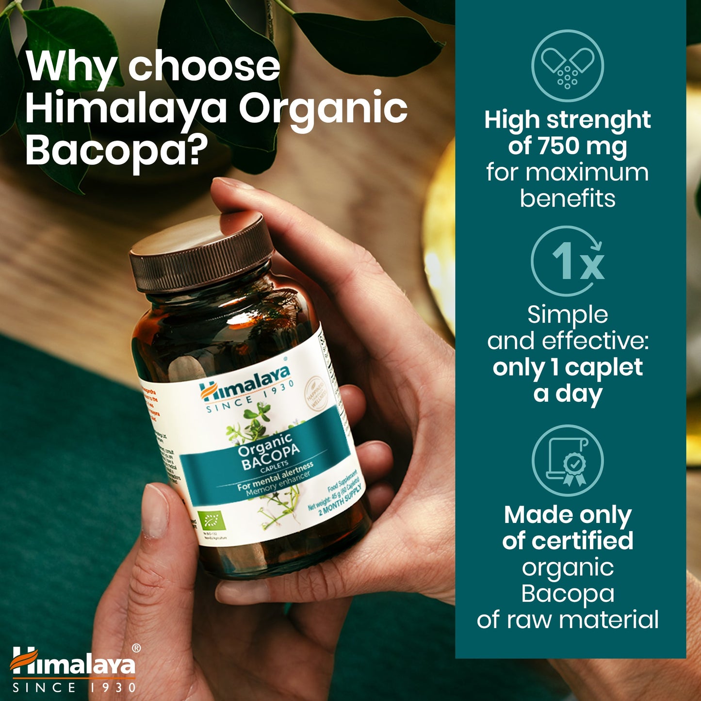 Himalaya Bacopa Biologica (Brahmi) – Memoria e Concentrazione