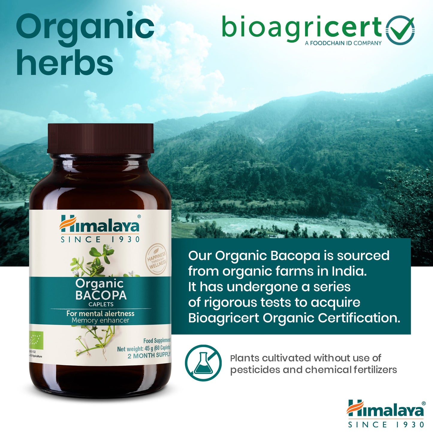 Himalaya Bacopa Biologica (Brahmi) – Memoria e Concentrazione
