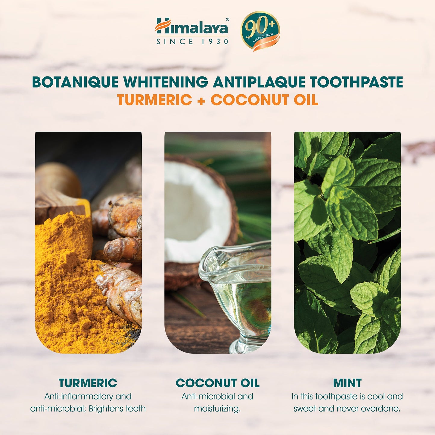 Himalaya Botanique Dentifricio Sbiancante Anti-Placca Curcuma e Olio di Cocco – 113g