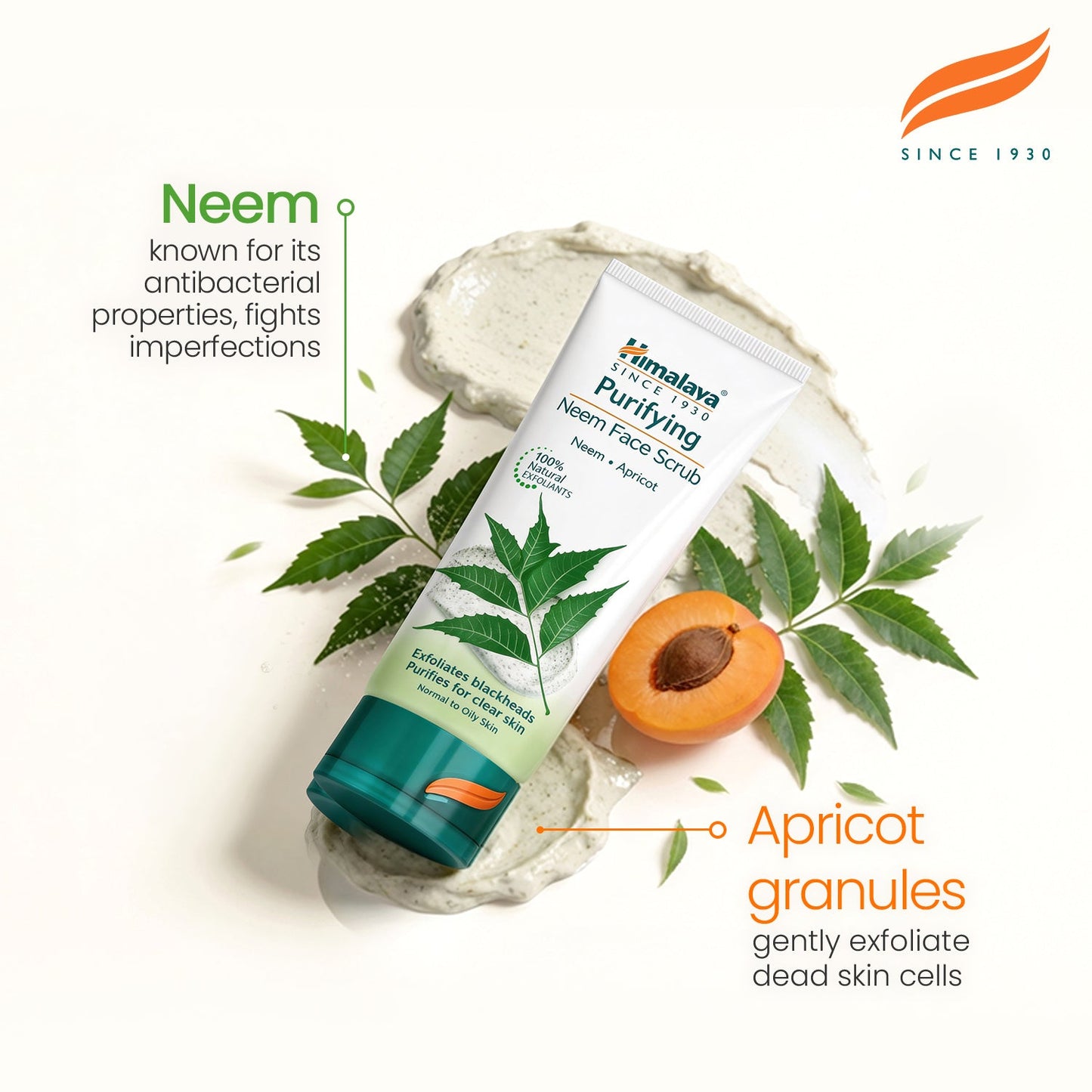Himalaya Scrub Purificante al Neem – Pelle Libera da Impurità