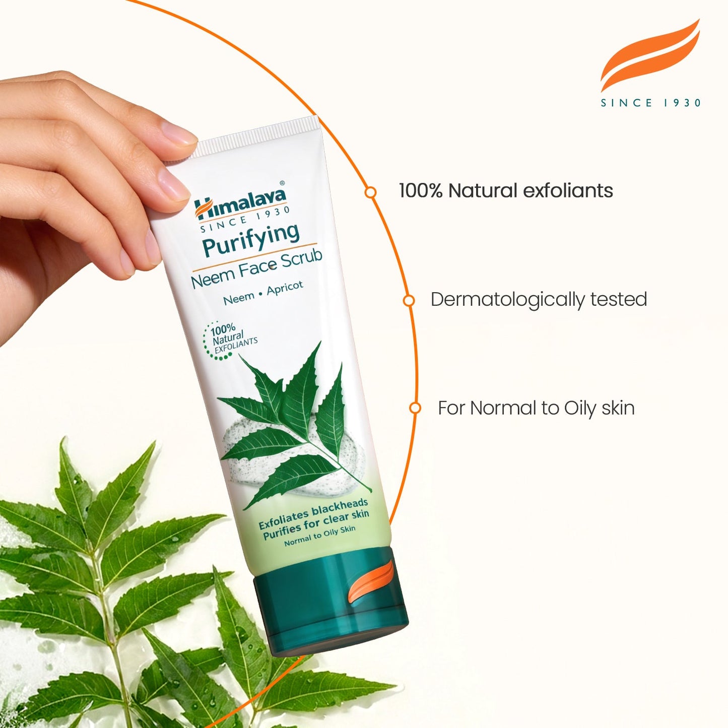 Himalaya Scrub Purificante al Neem – Pelle Libera da Impurità
