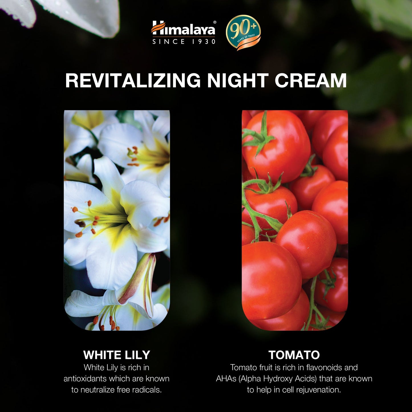 Himalaya Crema Notte Rivitalizzante – Nutrimento e Riparazione Notturna