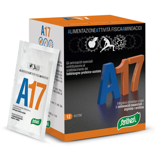 A17 - 12 BUSTINE