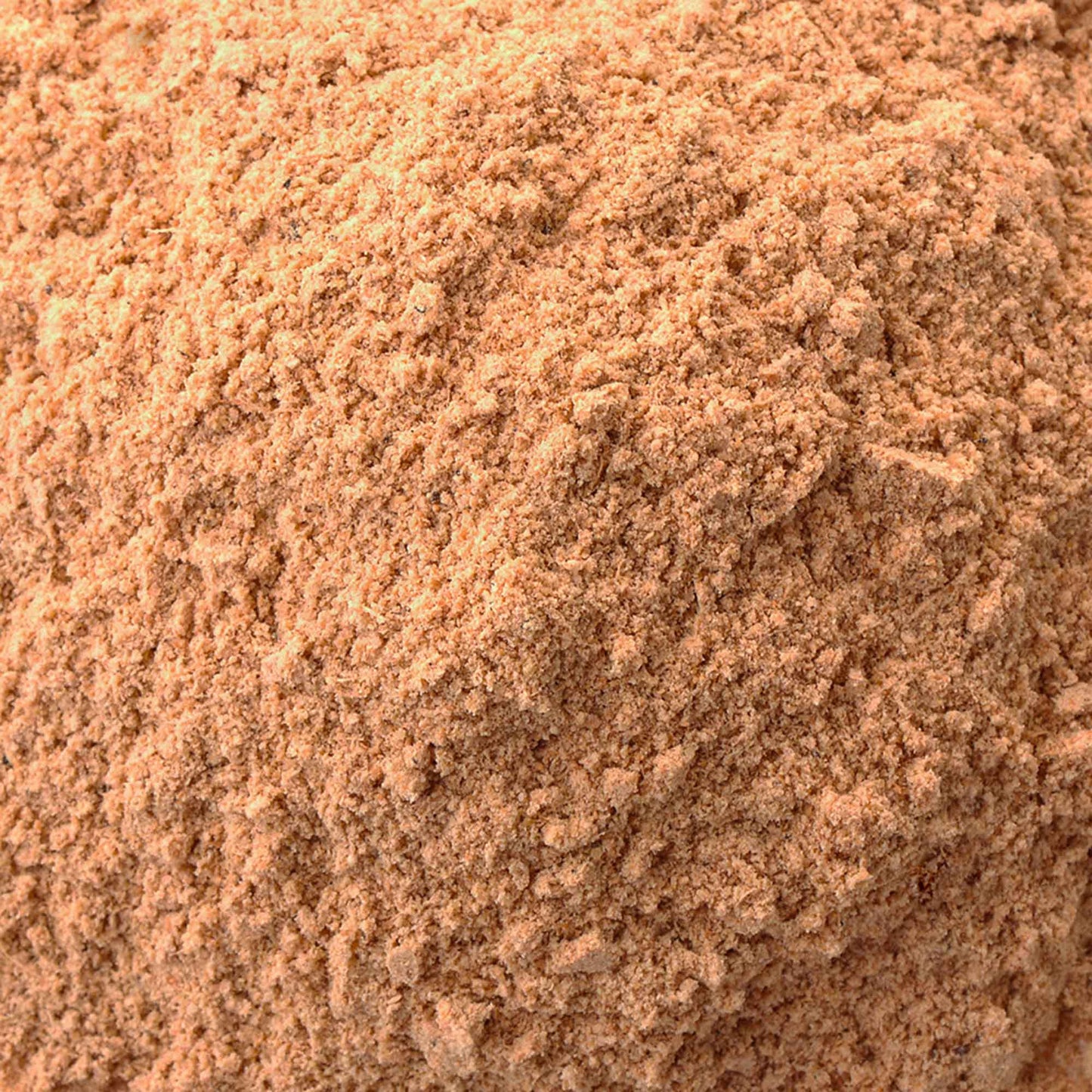 100% Fungo Shiitake in polvere BIO - 100g