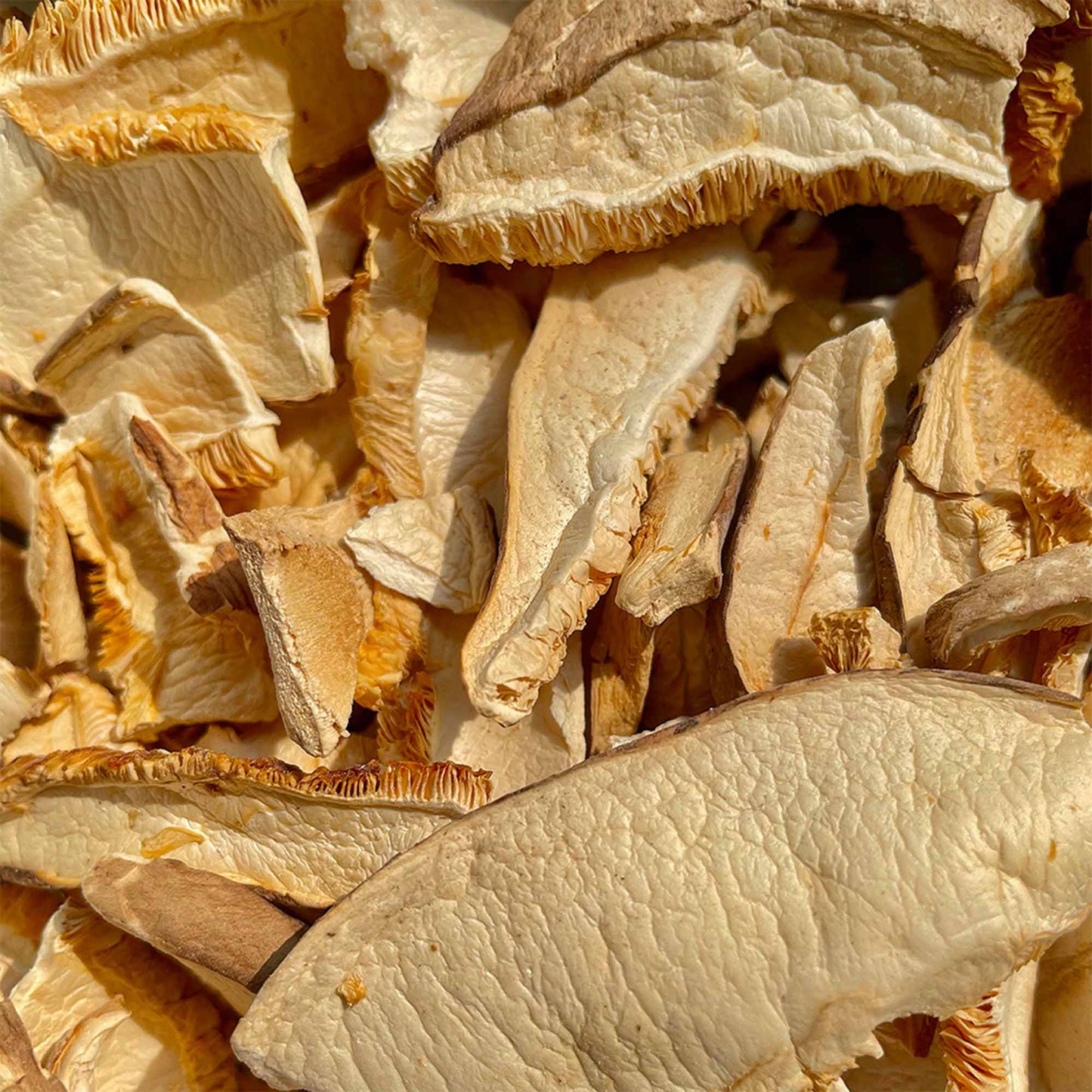 Funghi Shiitake secchi a Fette BIO 20g